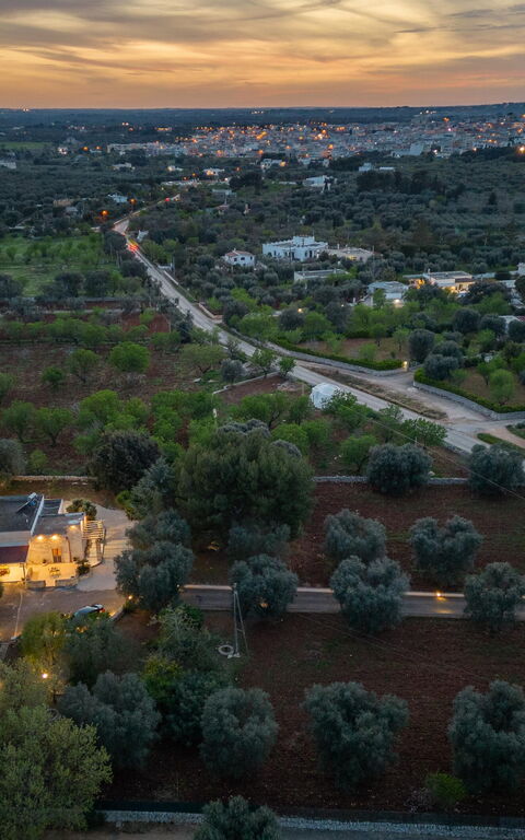 Villa Narkive: Außen