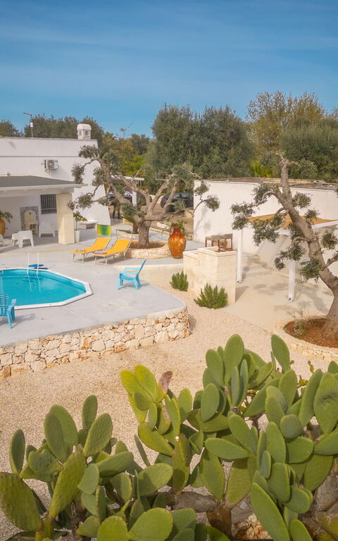 Villa Narkive: Draussen, Garten, Haupteingang