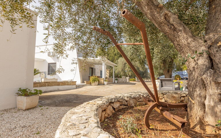 Villa Narkive: Außen, Draussen, Garten