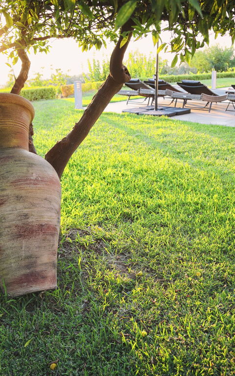 Villa Malu: Außen, Draussen, Garten