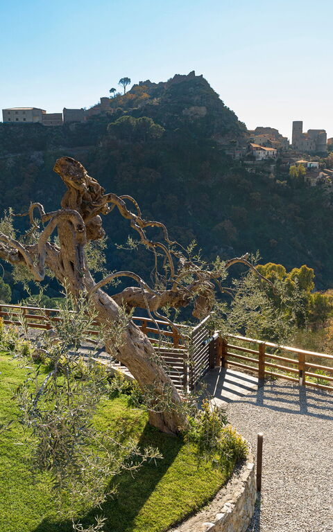 Zagara Bianca: Ansichten, Außen, Draussen, Garten