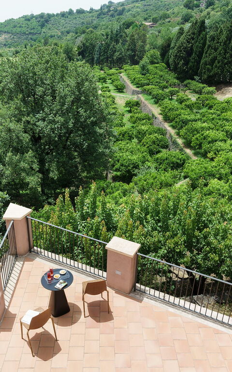 Tenuta Della Contea: Außen, Draussen, Garten