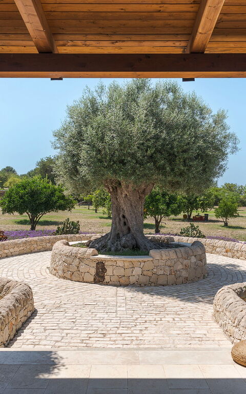 Pigna Blue: Außen, Draussen