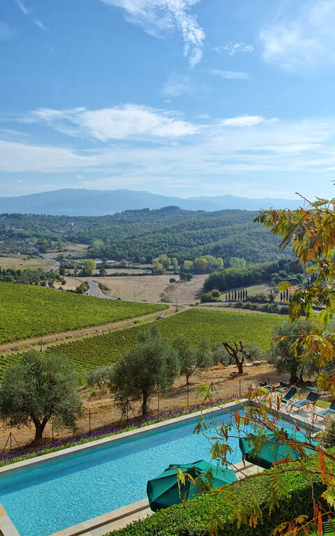 Villa Cona: Außen, Draussen, Garten, Schwimmbad