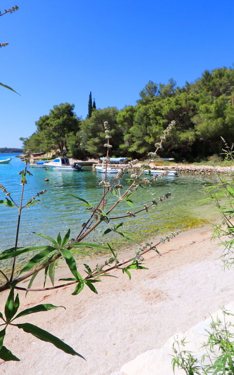 Villa Emerald: Aktivitäten, Ansichten