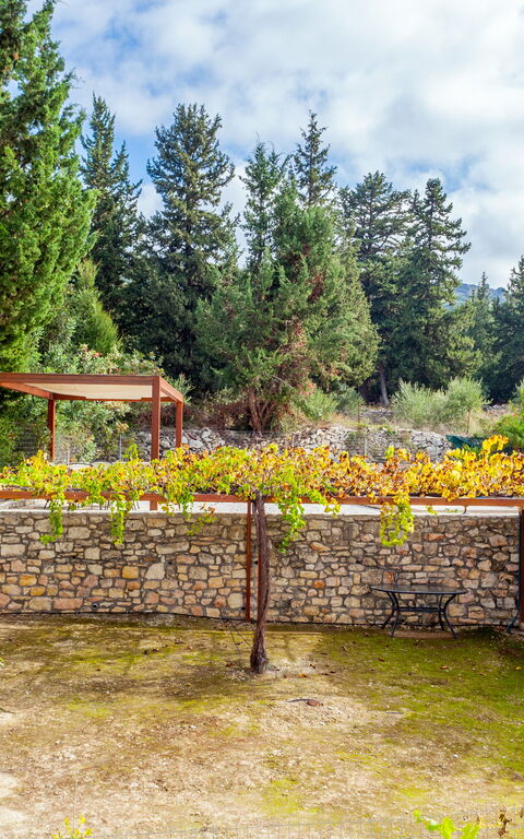 Villa Giorgos: Außen, Draussen, Garten