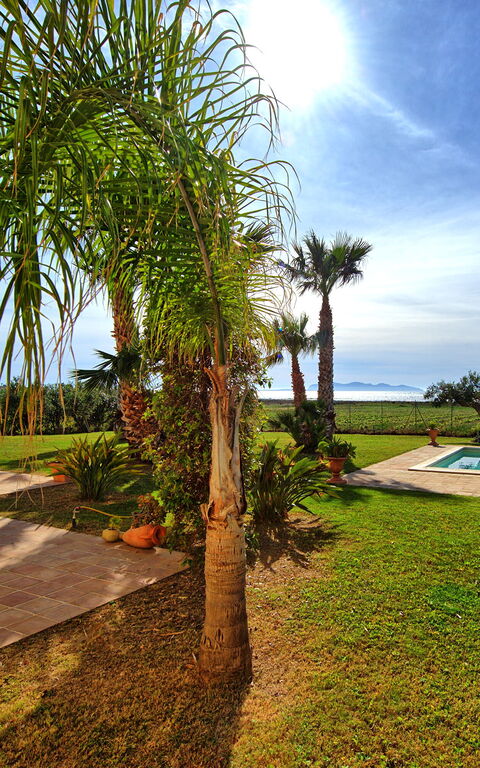 Villa Casale: Außen, Draussen, Garten, Schwimmbad