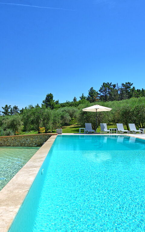 Villa Acquaviva: Draussen, Schwimmbad, Sommer