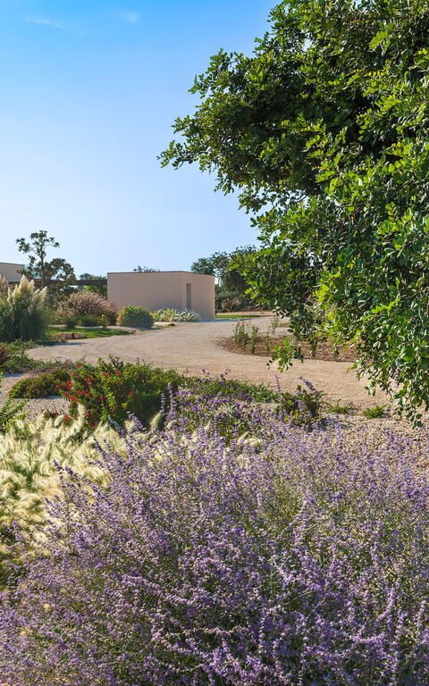 Villa Passo Salina: Garten