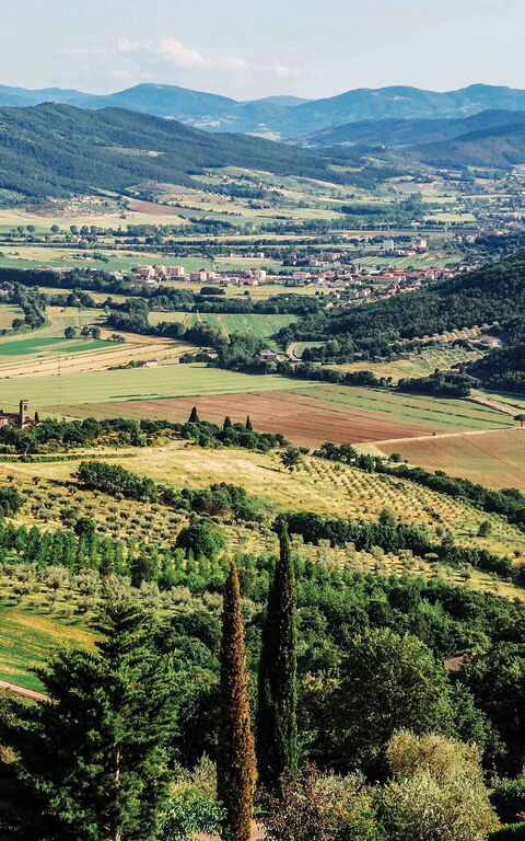 Villa Paradiso: Ansichten