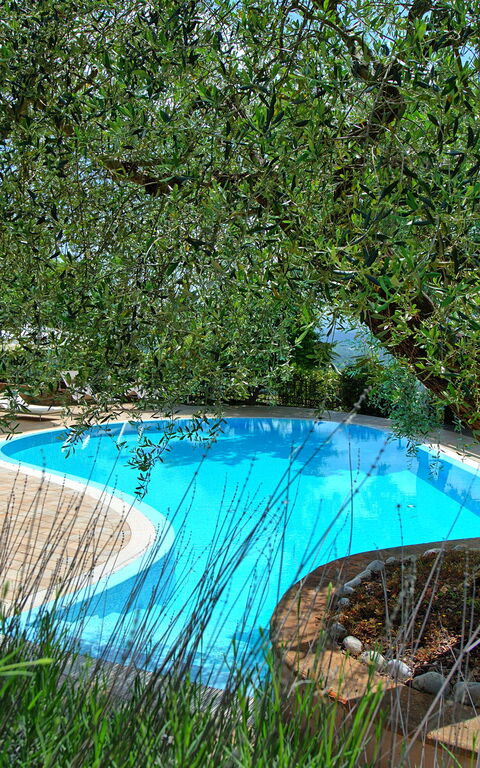 Villa Paradiso: Garten, Schwimmbad