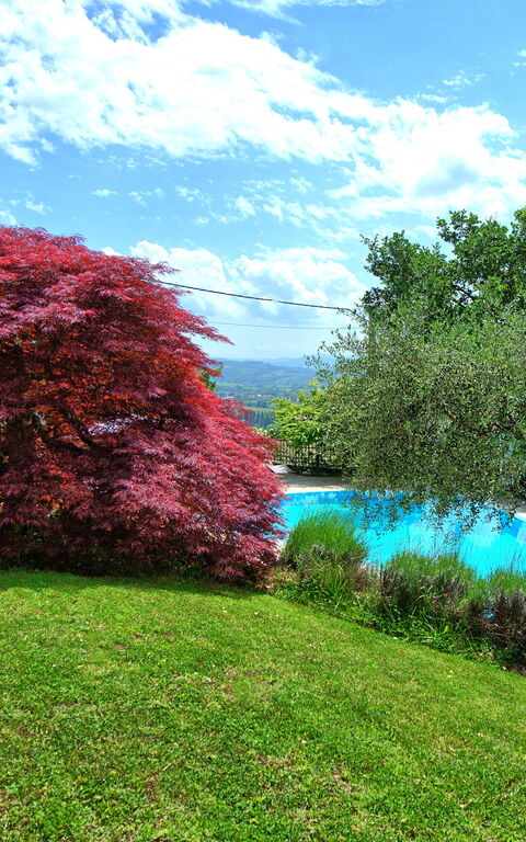 Villa Paradiso: Garten