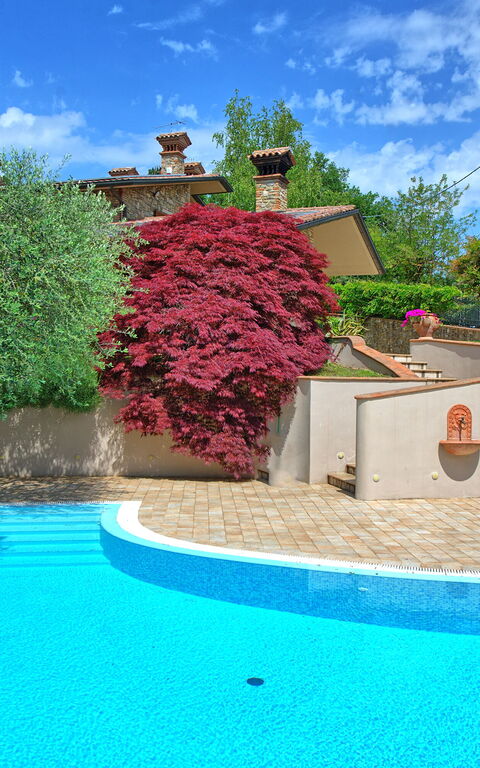 Villa Paradiso: Außen, Schwimmbad