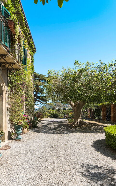 Villa Giuffrè: Außen, Draussen