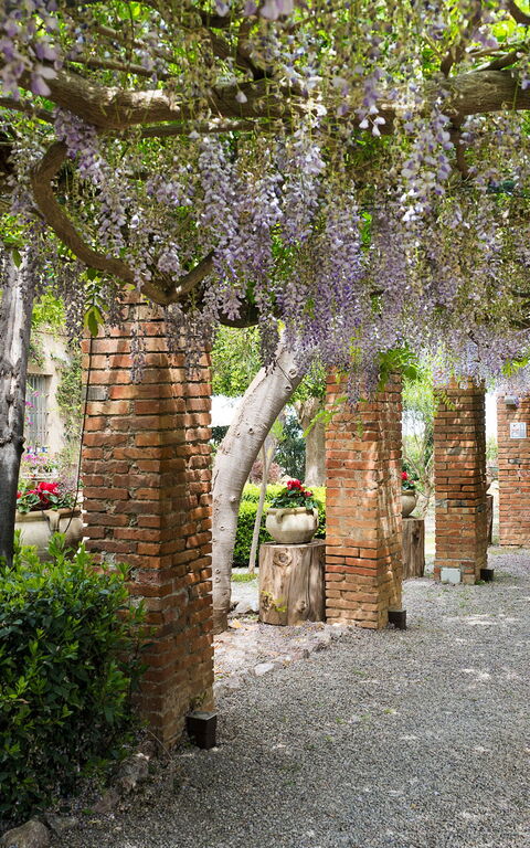 Villa Giuffrè: Außen, Draussen