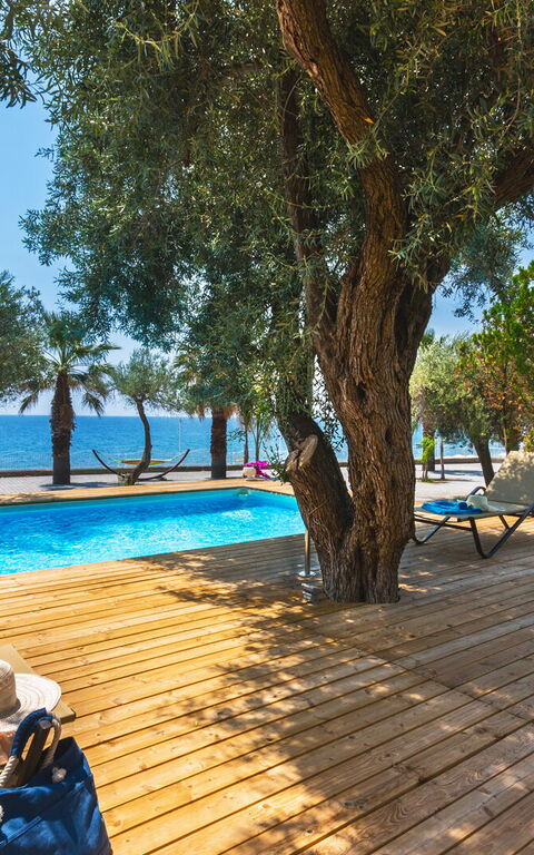 Villa Bellasia: Ansichten, Außen, Draussen, Schwimmbad