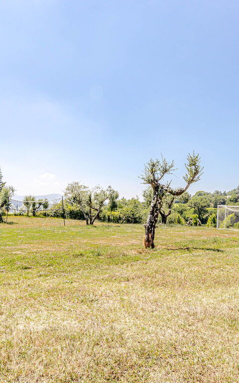 Chateau La Siroque: Außen, Draussen, Garten