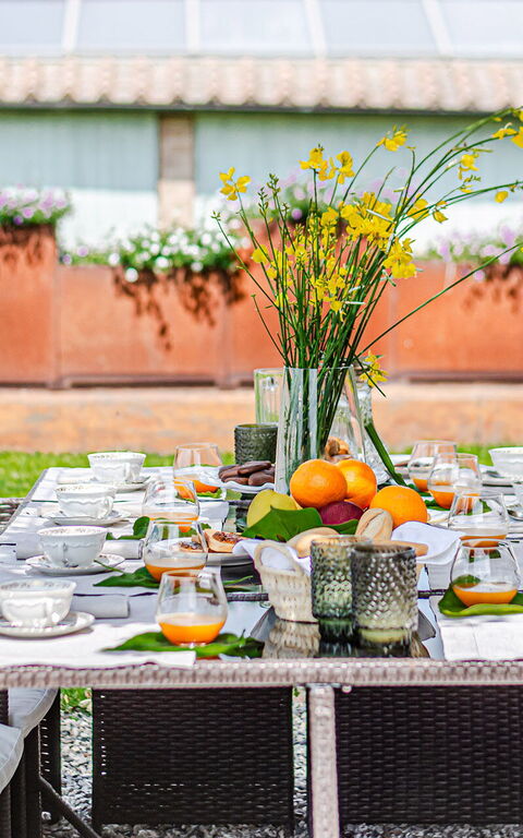 Chateau La Siroque: Außen, Draussen