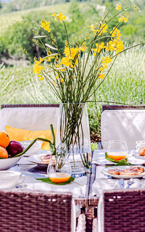 Chateau La Siroque: Außen, Draussen