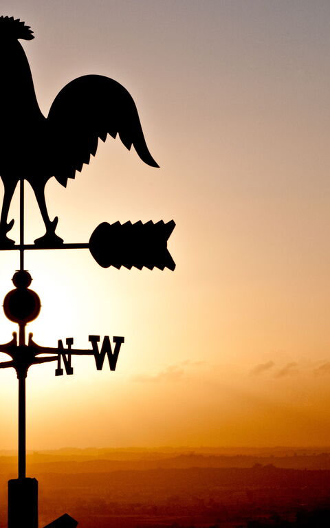 Villa Colle Di Sotto: Außen, Draussen