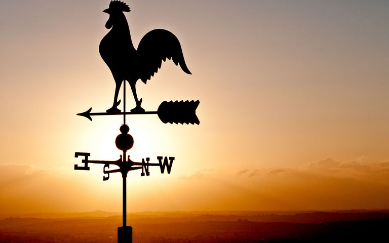 Villa Colle Di Sotto: Außen, Draussen