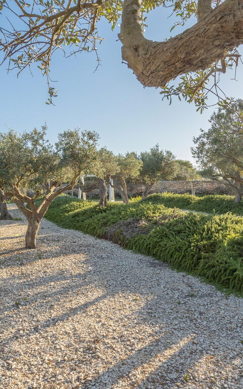 Villa Partenope: Außen, Draussen, Garten