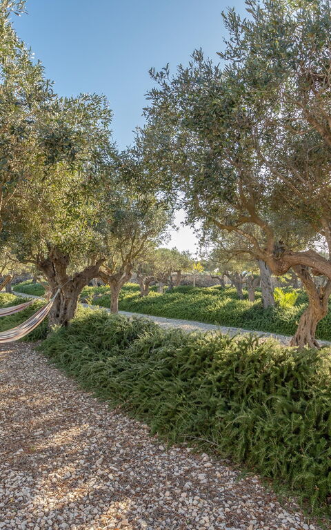 Villa Partenope: Außen, Draussen, Garten