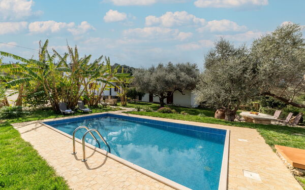 Klapas: Außen, Garten, Schwimmbad