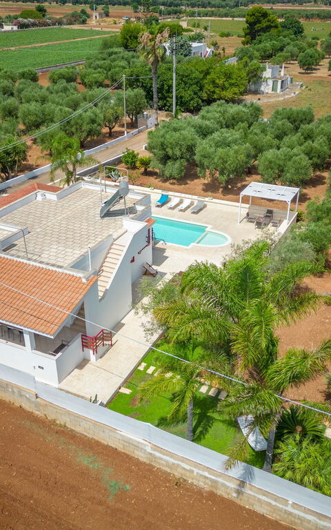 Villa Dolcevivere: Ansichten, Außen, Draussen, Schwimmbad, Sommer