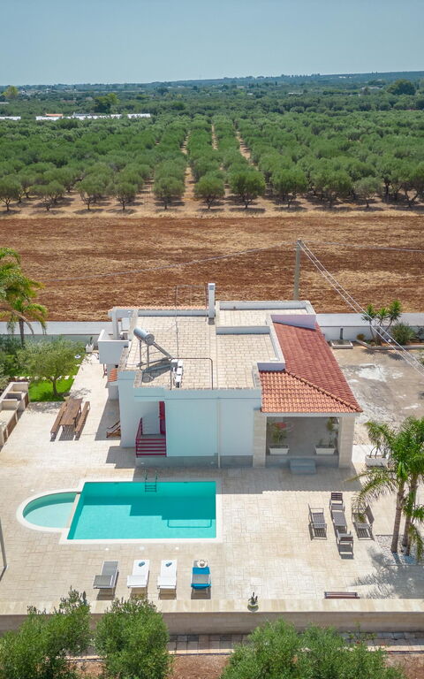 Villa Dolcevivere: Ansichten, Außen, Draussen, Schwimmbad, Sommer