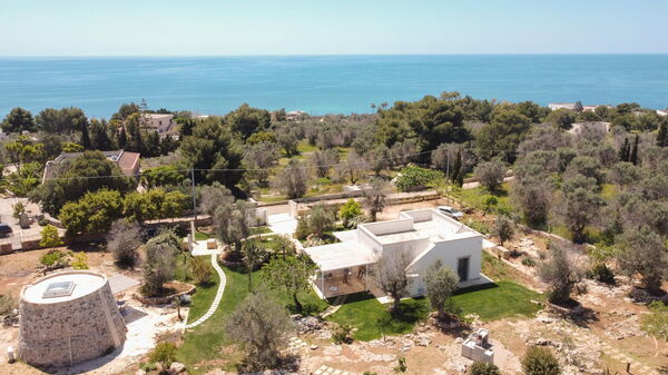 Villa Platino: Ansichten, Außen, Draussen, Garten