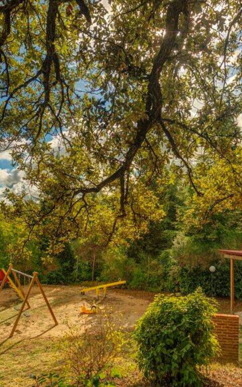 Leccino: Ansichten, Außen, Draussen, Garten