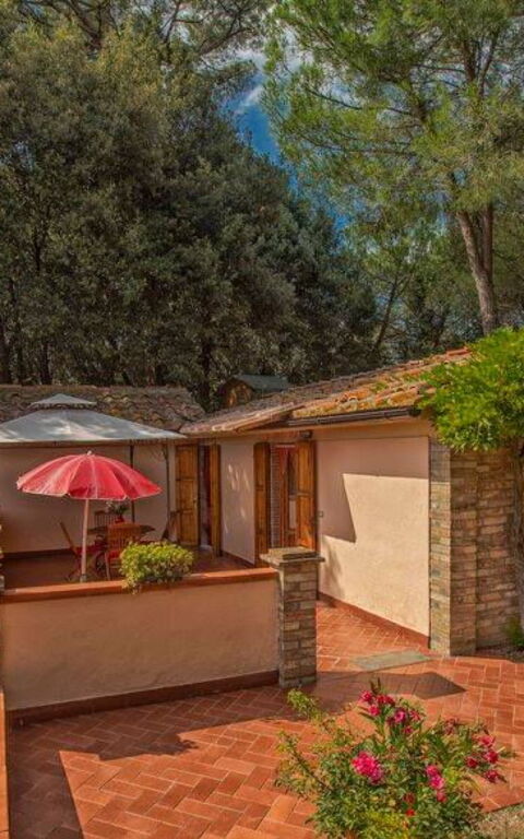 Leccino: Außen, Balkon / Terrasse / Patio, Draussen