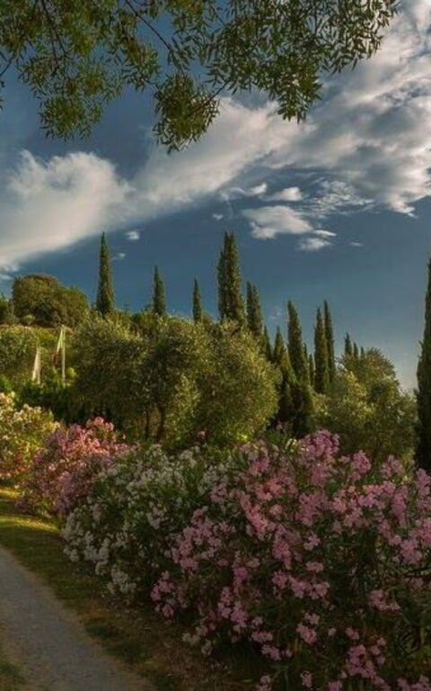 Leccino: Ansichten, Außen, Draussen, Garten