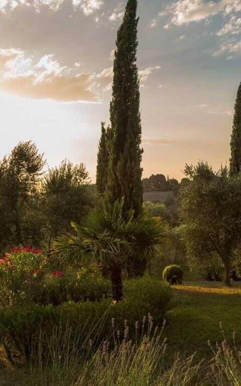 Leccino: Ansichten, Außen, Draussen