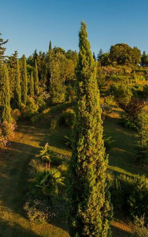 Leccino: Ansichten, Außen, Draussen