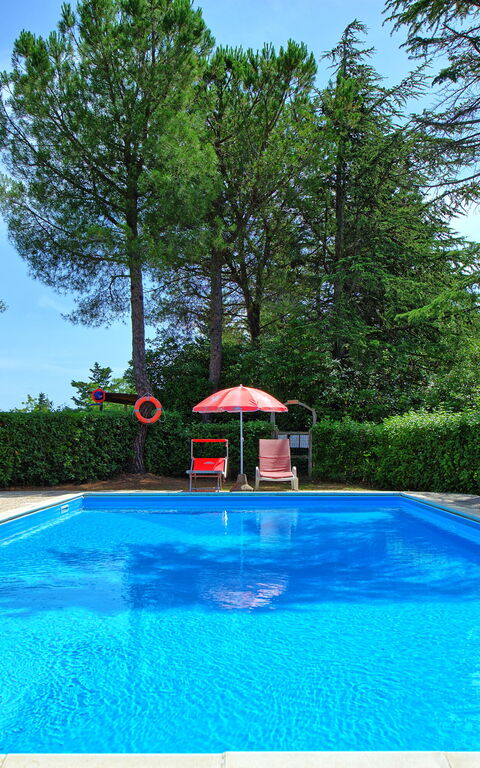 Leccino: Draussen, Garten, Schwimmbad