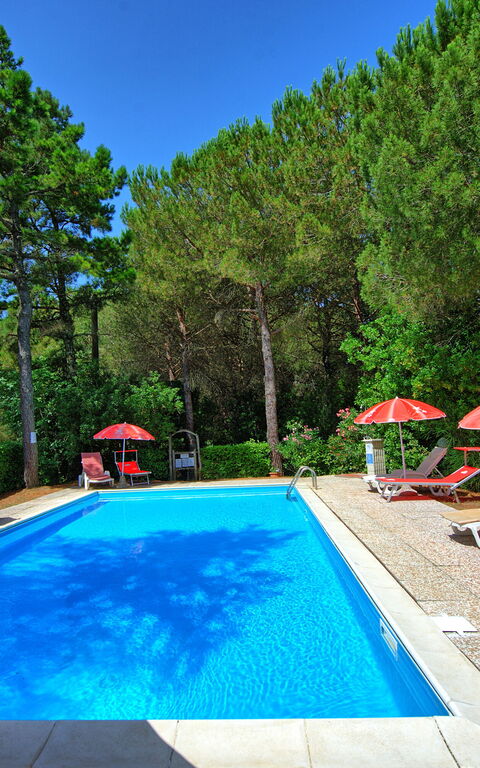 Leccino: Draussen, Garten, Schwimmbad