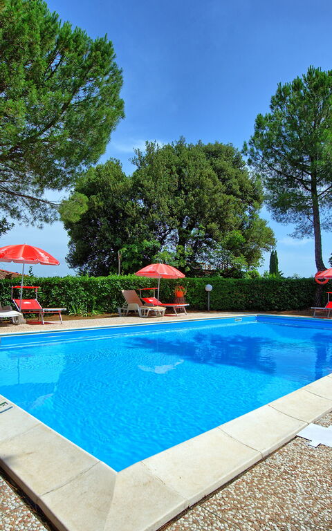 Leccino: Draussen, Garten, Schwimmbad