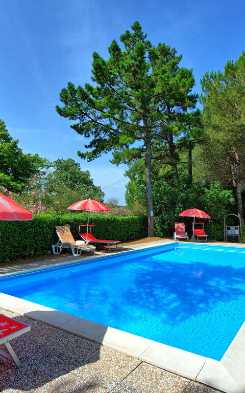 Leccino: Draussen, Garten, Schwimmbad