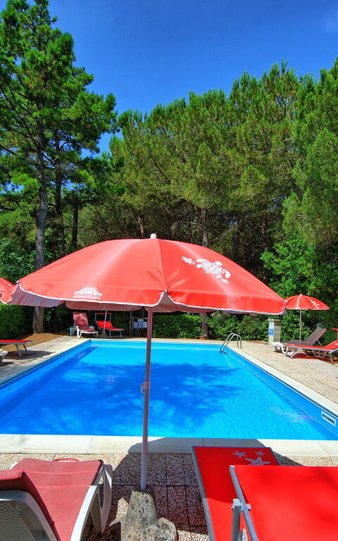 Leccino: Draussen, Garten, Schwimmbad