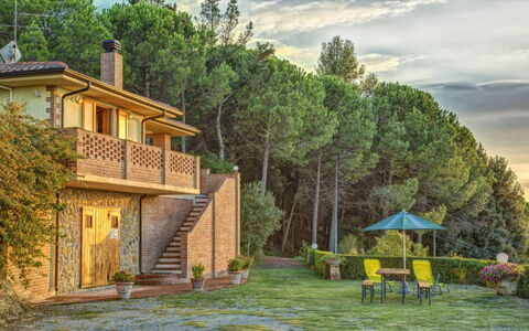 Unterkunft Leccino 5: Garten