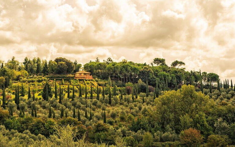 Leccino: Ansichten, Außen, Draussen