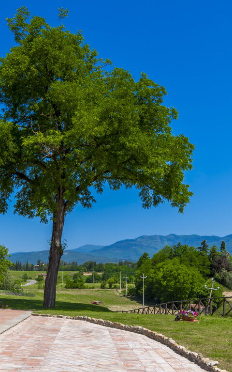 Le Fornaci: Ansichten, Außen, Draussen, Haupteingang