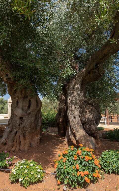 Terra Mater: Außen, Draussen