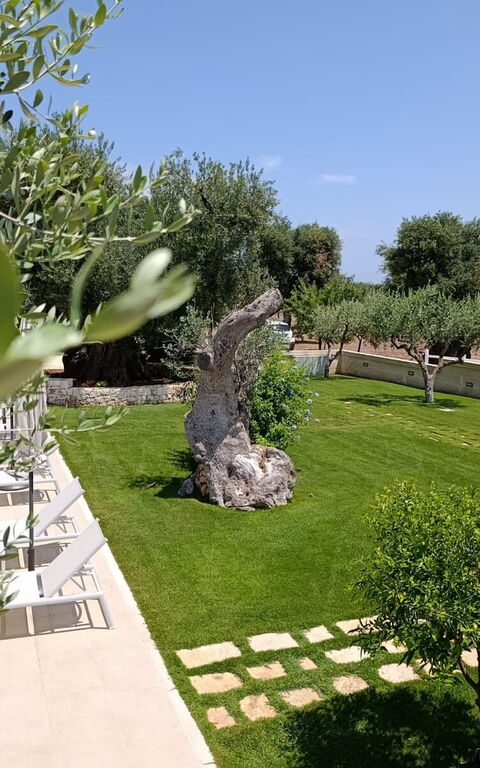 Terra Mater: Außen, Draussen, Garten, Schwimmbad