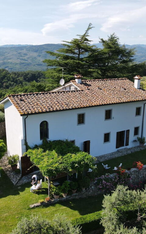 Villa Mami: Ansichten, Außen, Draussen, Garten