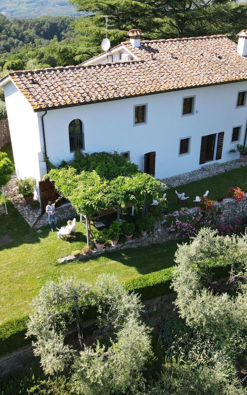 Villa Mami: Ansichten, Außen, Draussen, Garten