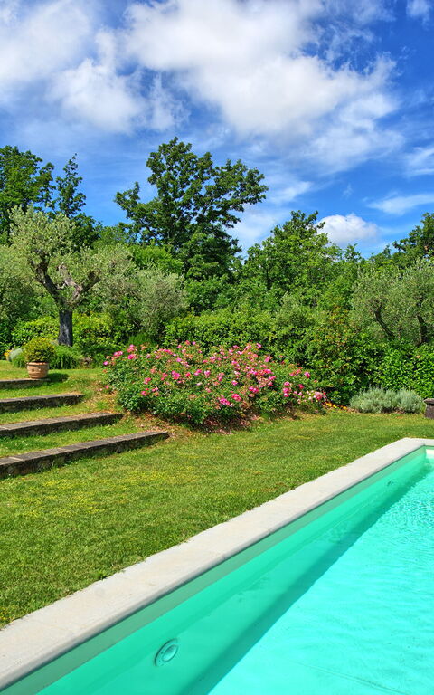 Villa Mami: Draussen, Garten, Schwimmbad, Sommer
