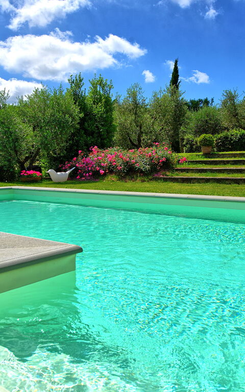 Villa Mami: Draussen, Schwimmbad